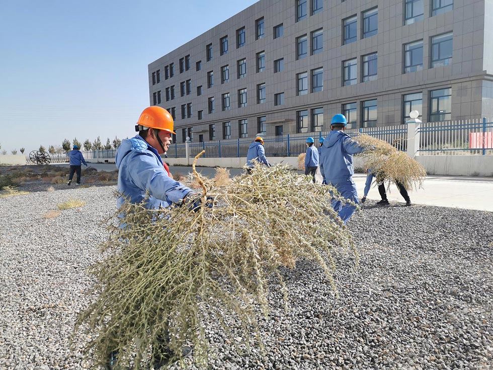 精密冲床厂除草活动