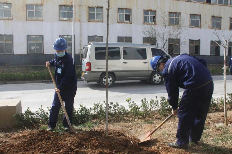 精密冲床厂家植树