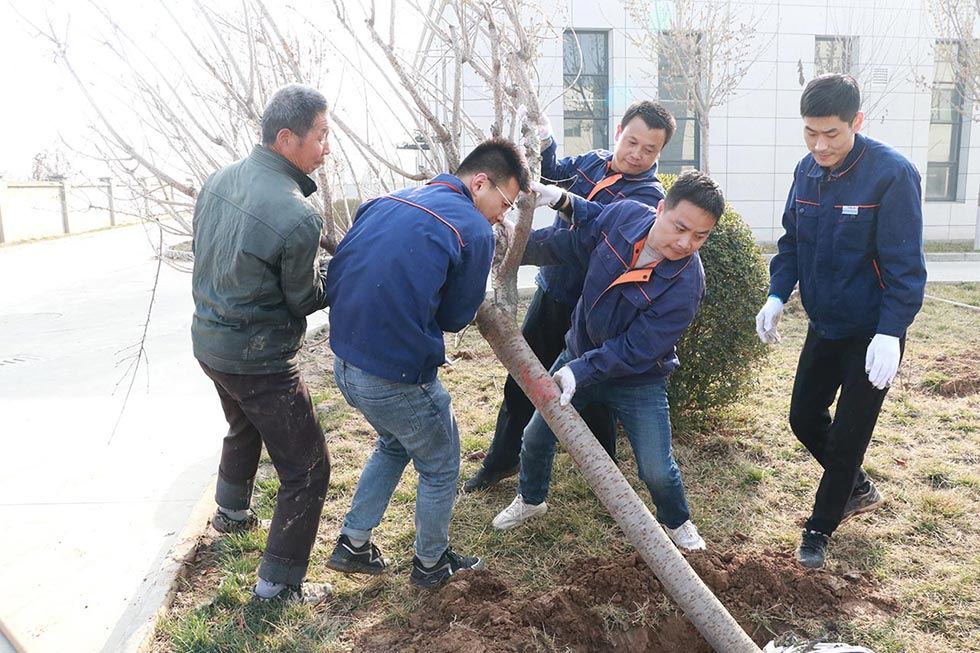 冲床工厂植树种树